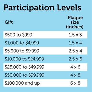 Participation Levels
